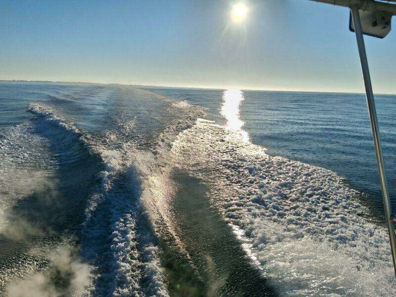 Odyssea 29ft Blackfin Yacht For Sale