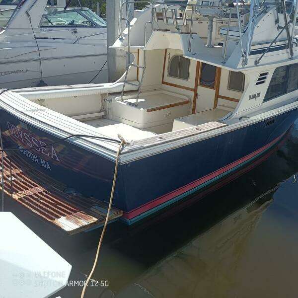 Odyssea 29ft Blackfin Yacht For Sale