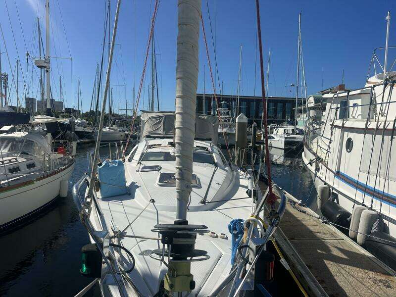 Salty Solution 42ft Jeanneau Yacht For Sale