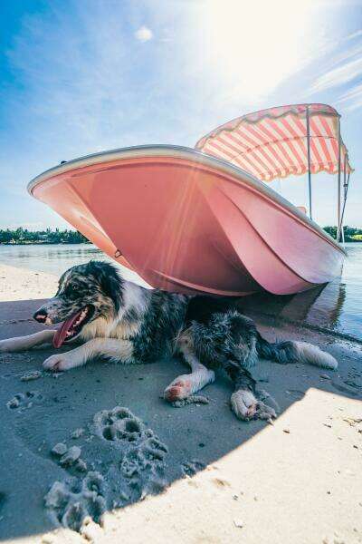 Palm Yacht 17 - Exterior Bow Port