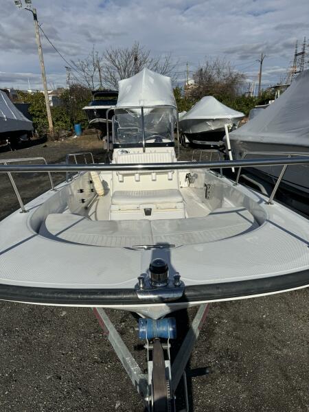 17' 2015 Boston Whaler 170 Montauk