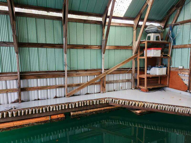 31ft Other Yacht For Sale