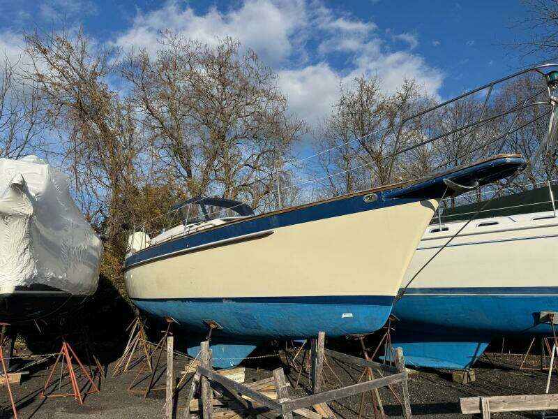 38ft Irwin Yacht For Sale