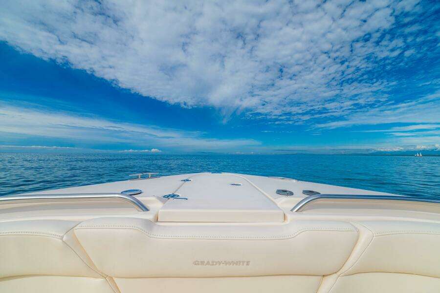 2020 Grady-White 375 Freedom DOS AMIGOS