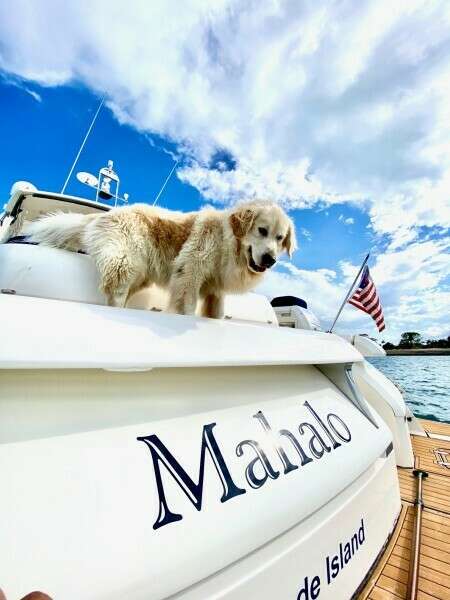 Mahalo 52ft Fairline Yacht For Sale