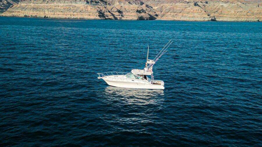 Blue Legend 40ft Cabo Yacht For Sale