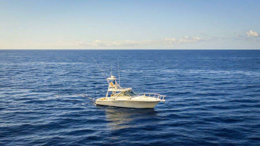 Blue Legend 40ft Cabo Yacht For Sale