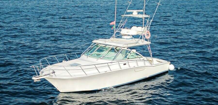 Blue Legend 40ft Cabo Yacht For Sale