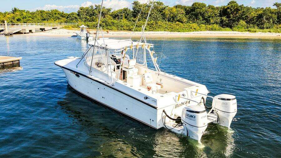 BOBCAT 30ft Powercat Yacht For Sale