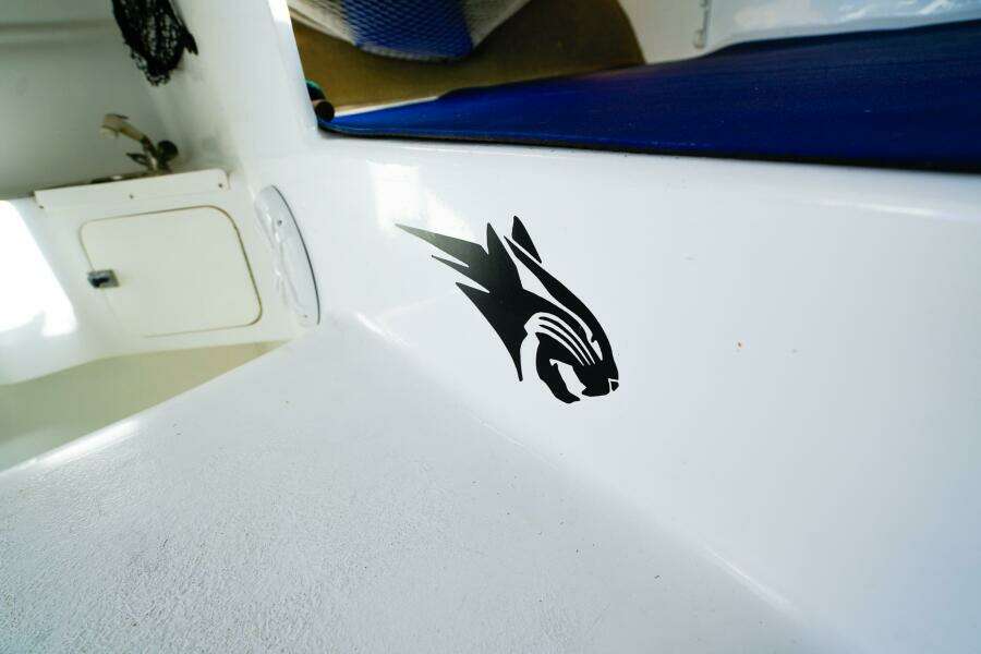 BOBCAT 30ft Powercat Yacht For Sale