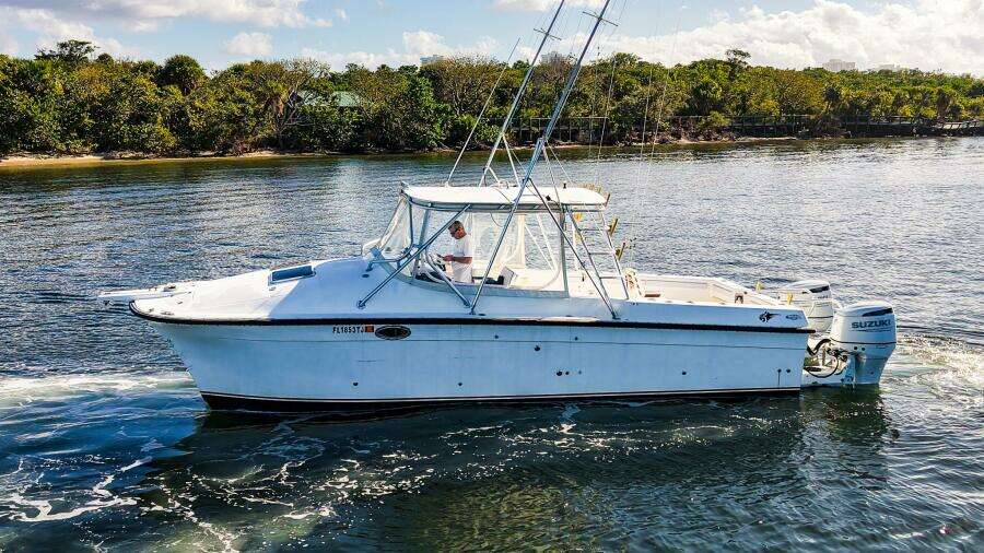 BOBCAT 30ft Powercat Yacht For Sale