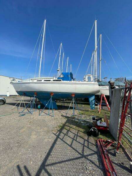 Unsightly 36ft Catalina Yacht For Sale
