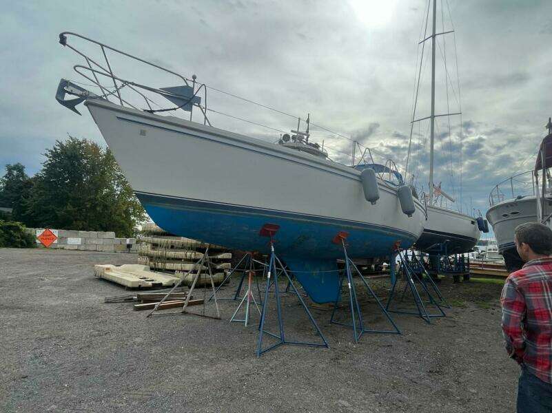 Unsightly 36ft Catalina Yacht For Sale