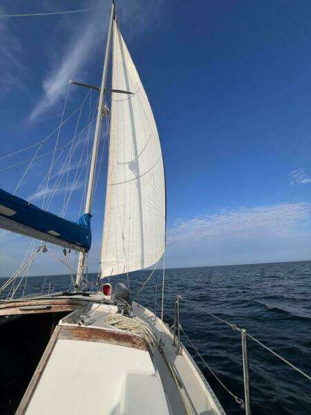 Unsightly 36ft Catalina Yacht For Sale