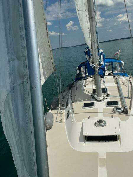 Unsightly 36ft Catalina Yacht For Sale