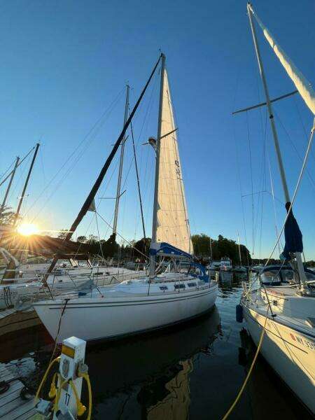 Unsightly 36ft Catalina Yacht For Sale