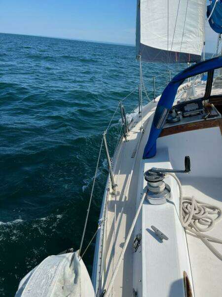 Unsightly 36ft Catalina Yacht For Sale