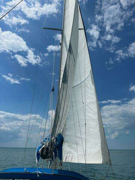 Unsightly 36ft Catalina Yacht For Sale