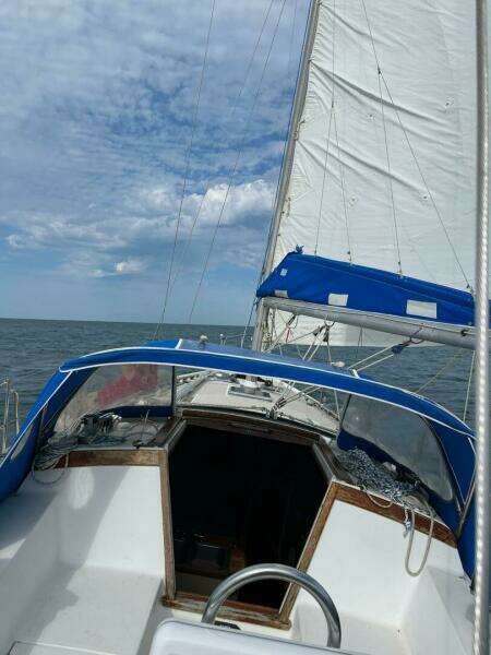 Unsightly 36ft Catalina Yacht For Sale