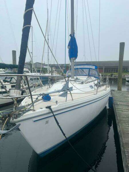 Unsightly 36ft Catalina Yacht For Sale