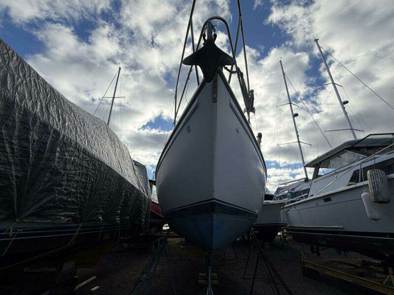 Unsightly 36ft Catalina Yacht For Sale