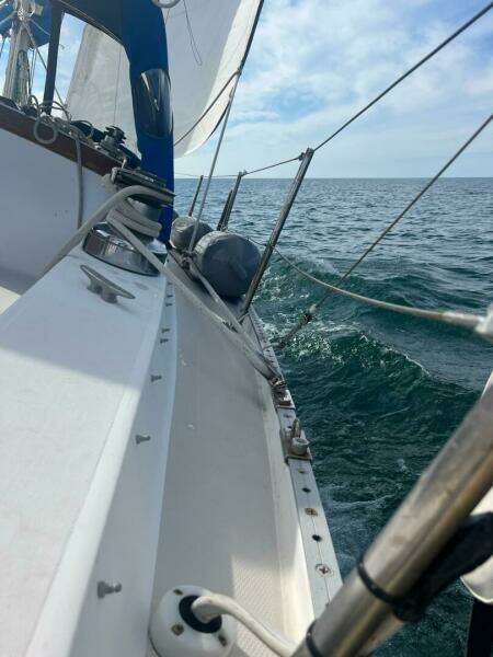 Unsightly 36ft Catalina Yacht For Sale