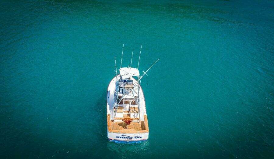 2024 Maverick Yachts Costa Rica 36 Walkaround- GAME ON-