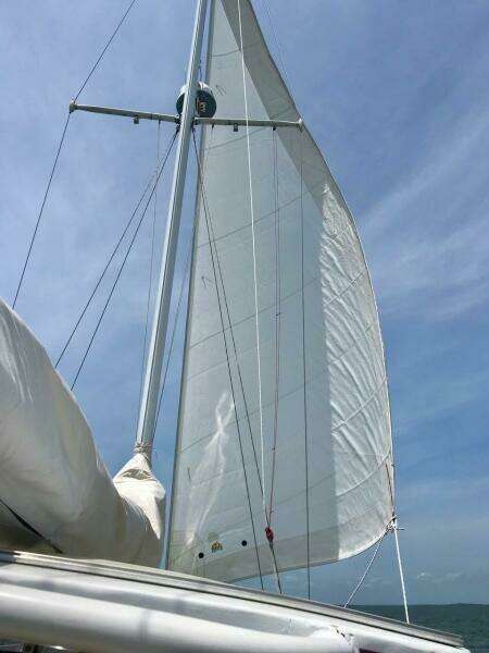 Cara Mia 31ft Southern Cross Yacht For Sale