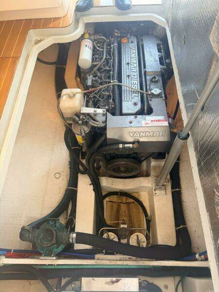 Miracle 2 38ft True North Yacht For Sale