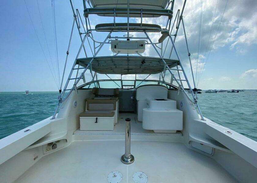 Vamonos 34ft Sea Ray Yacht For Sale
