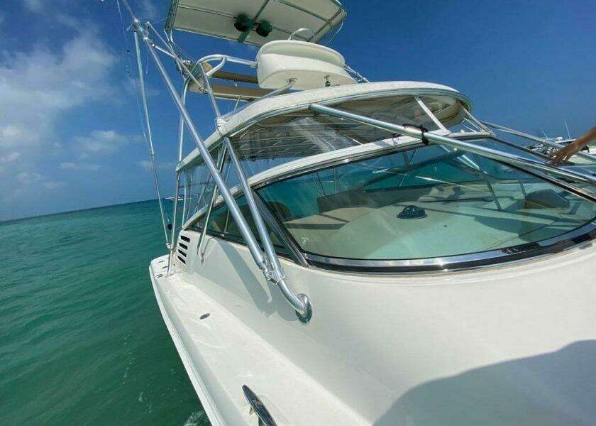 Vamonos 34ft Sea Ray Yacht For Sale