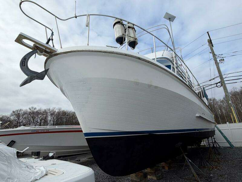 Sunset Magic III 38ft Golden Star Yacht For Sale