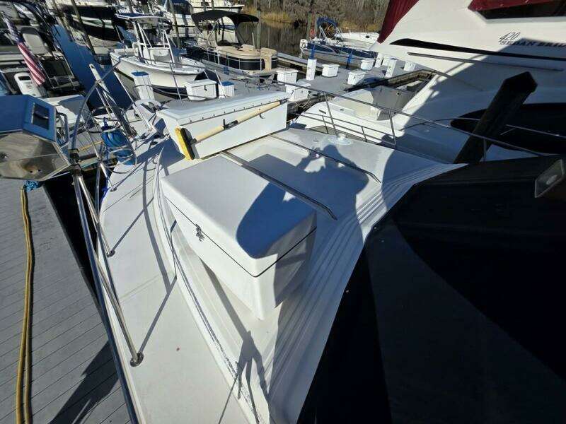 Triskele 45ft Sea Ray Yacht For Sale