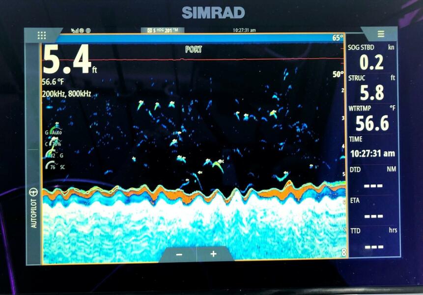 30' 2017 Osprey Pilothouse 30 Fisherman