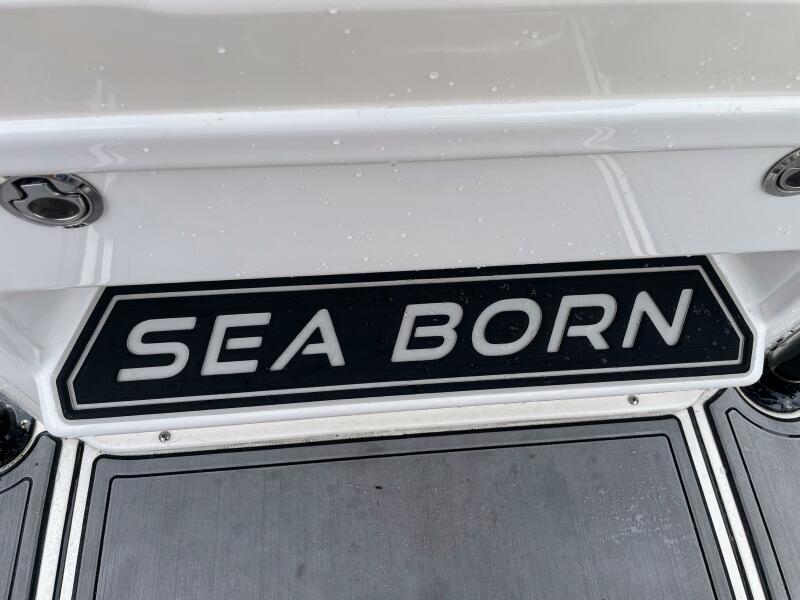 22' 2019 Sea Born FX22