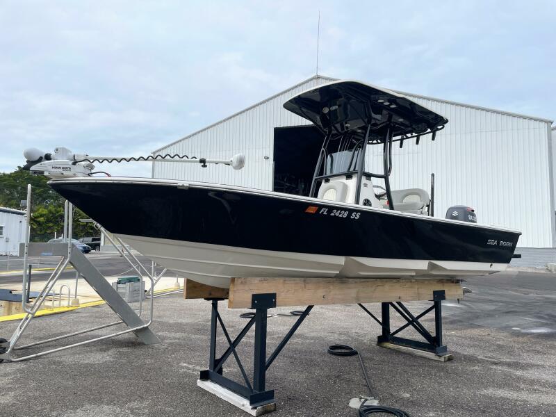 22' 2019 Sea Born FX22