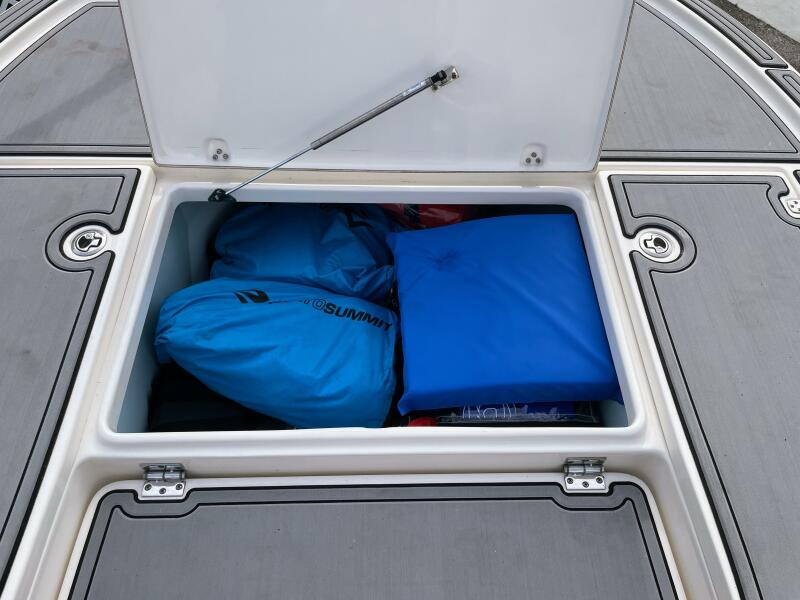 22' 2019 Sea Born FX22