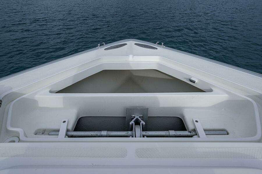 FISHY BUSINESS 39ft SeaVee Yacht For Sale