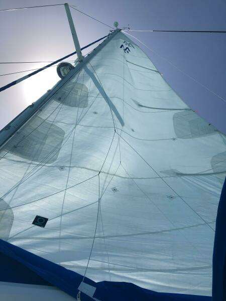 One Love 41ft Morgan Yacht For Sale