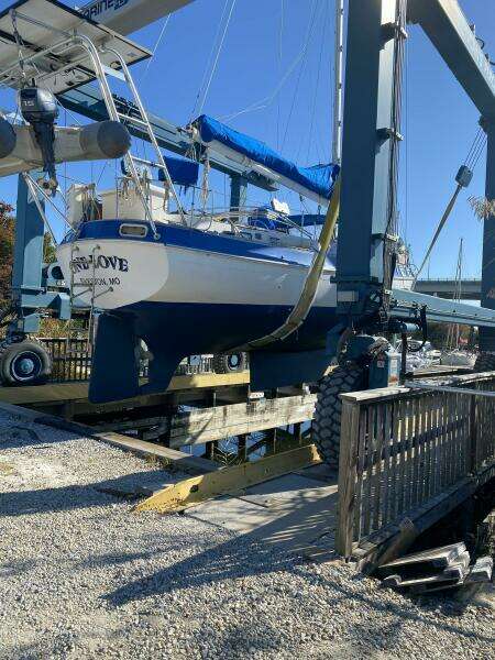 One Love 41ft Morgan Yacht For Sale