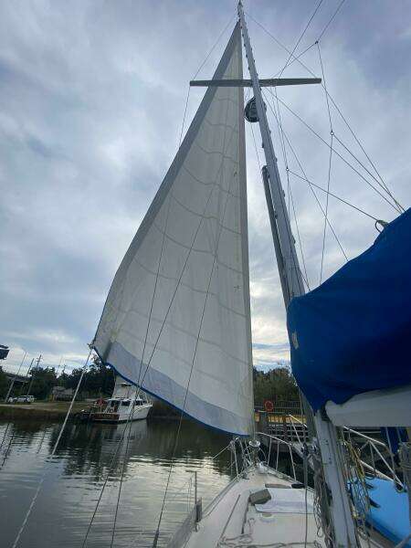 One Love 41ft Morgan Yacht For Sale