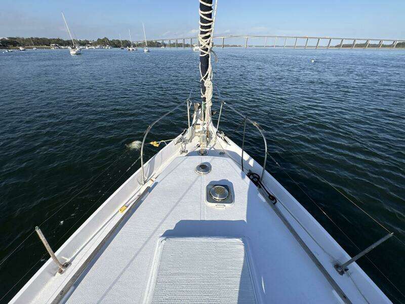 SOVEREIGNTY 40ft Schucker Yacht For Sale