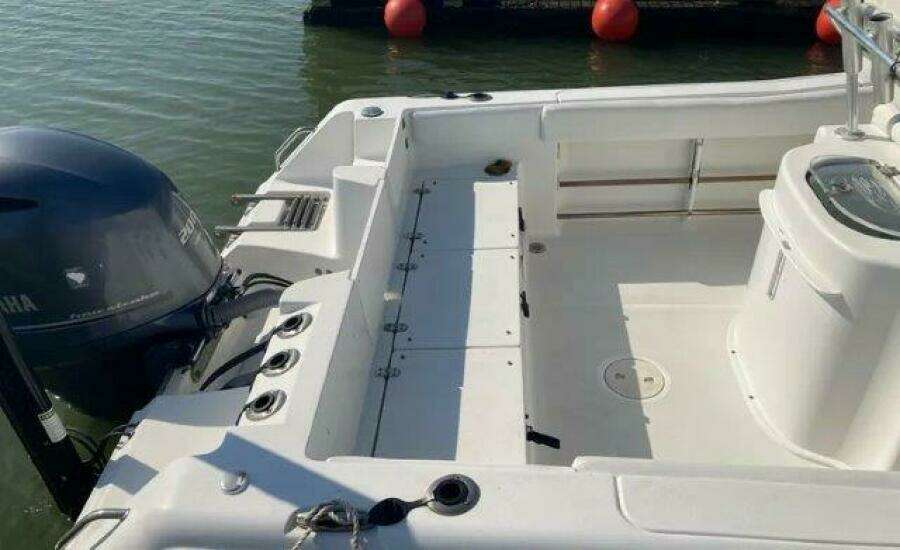23ft Sea Hunt Yacht For Sale
