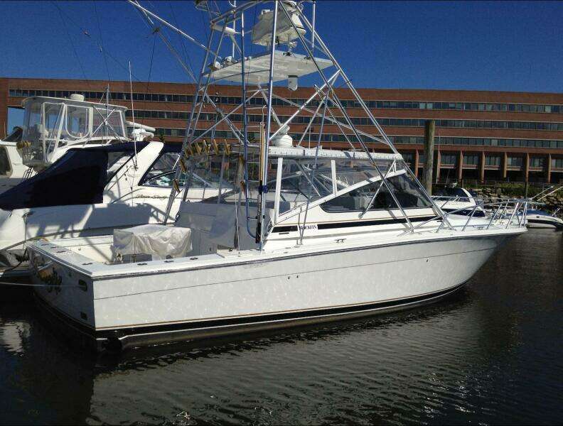 Benefit 38ft Blackfin Yacht For Sale