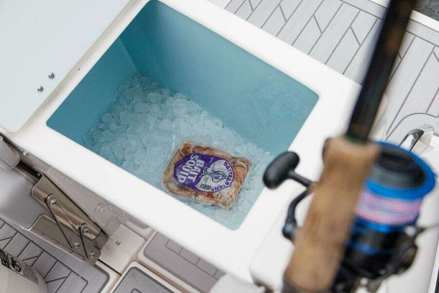 29ft Solara Yacht For Sale