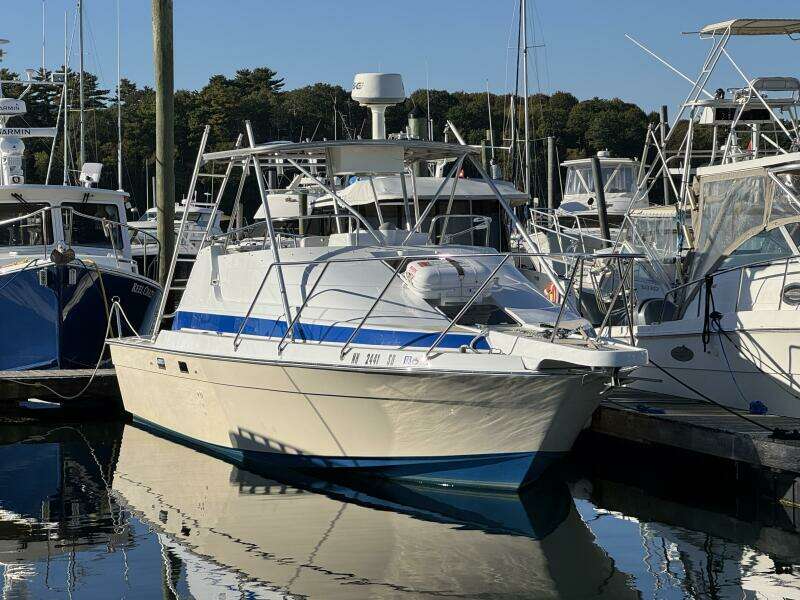 29ft Luhrs Yacht For Sale