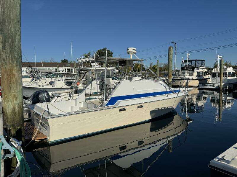 29ft Luhrs Yacht For Sale