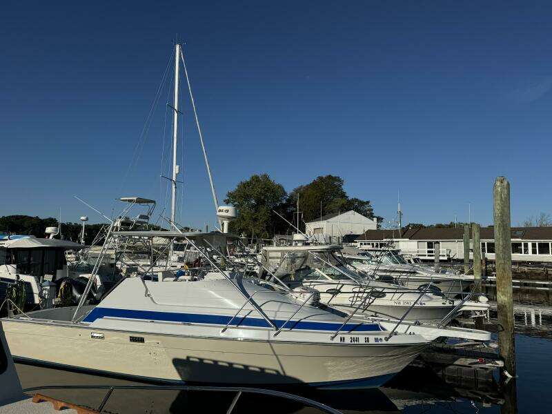 29ft Luhrs Yacht For Sale
