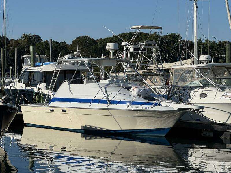 29ft Luhrs Yacht For Sale