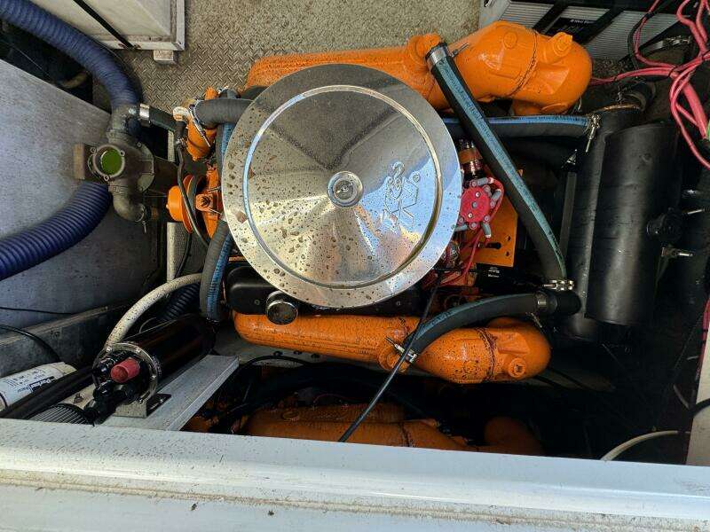 29ft Luhrs Yacht For Sale